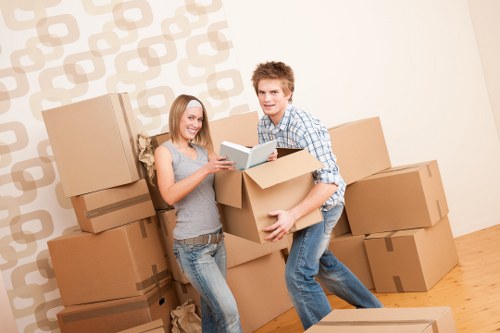 Secure storage units for household items in Silvertown